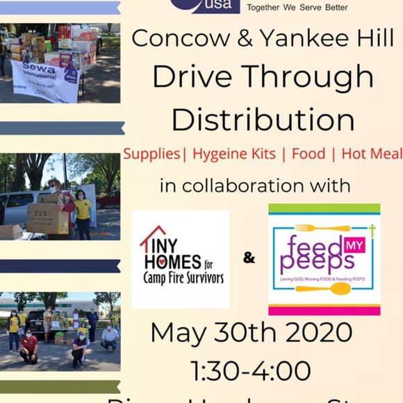 Meet your Posher, The Tiny Pine Foundation - Picture 13 of 15